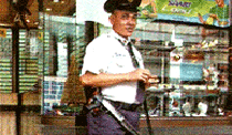 Armed Guards