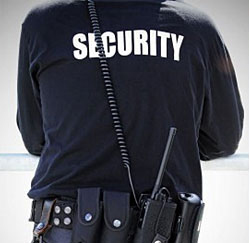 Security Consultants from Delhi